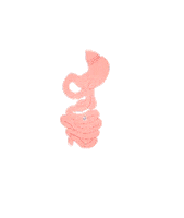 Obesity Sticker by Necat Kaplan