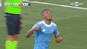Happy Major League Soccer GIF by NYCFC