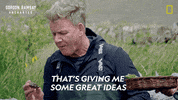 Gordon Ramsay Disney Plus GIF by National Geographic TV