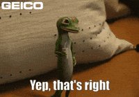 Uh Huh Yes GIF by GEICO