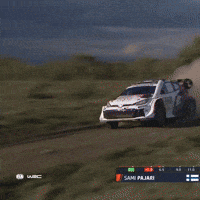 Vamos Fast Car GIF by FIA World Rally Championship