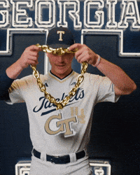 Georgia Tech Baseball GIF by Georgia Tech Yellow Jackets