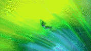Seven Nation Army Remix GIF by The White Stripes