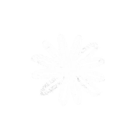 julerichter giphyupload illustration white flower Sticker