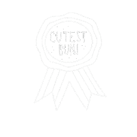 Pet Noodle Sticker