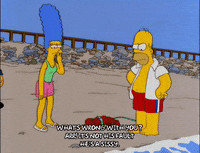 homer simpson GIF