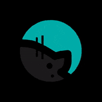 nekopublicidadjerez neko jerez nekopublicidad nekoteam GIF