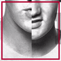 Sport GIF by AFC Ajax