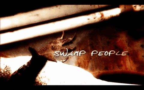 swamp people alligator GIF