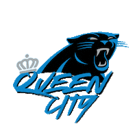 Queen City Football Sticker by Carolina Panthers