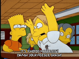 Season 5 GIF by The Simpsons