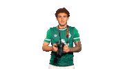 Josh Sargent Photo Sticker by SV Werder Bremen