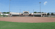 Softball GIF by SIUSalukis