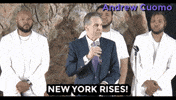 New York Vote GIF by Andrew Cuomo