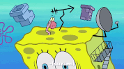 season 10 episode 3 GIF by SpongeBob SquarePants