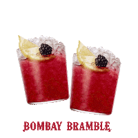 Drink Cheers Sticker by Bombay Sapphire