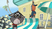 Cat Reaction GIF by Taffy