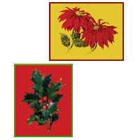 Christmas Holly Sticker