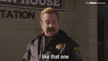 Reno 911 GIF by The Roku Channel