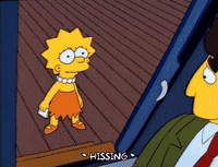 Season 2 GIF by The Simpsons