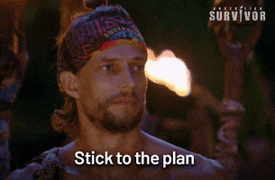 David Stick To The Plan GIF by Australian Survivor