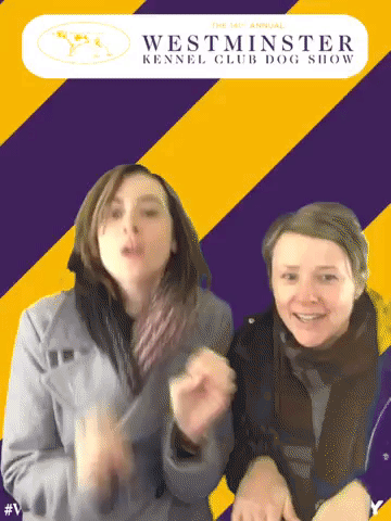 wkcdogshow GIF by Westminster Kennel Club