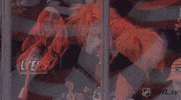 ice hockey GIF by NHL