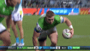 Try Nrl GIF by Canberra Raiders