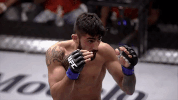 face what GIF by UFC