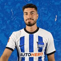 Bundesliga Ball GIF by Hertha BSC