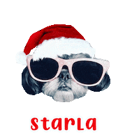 Dog Christmas Sticker