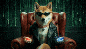 Red Pill Kindness GIF by DogeGF