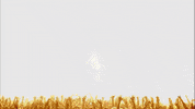 festival lights GIF by Underworld