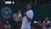 stan wawrinka win GIF by Wimbledon
