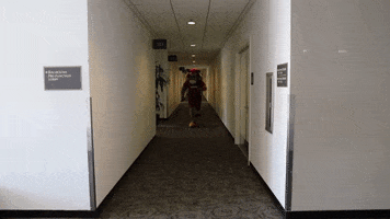csudhteddytoro running fast mascot get out GIF
