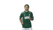 Robin Sticker by VfB Lübeck