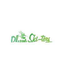 Water Skiing Sticker by Plum Ski-ters Water Ski Show Team