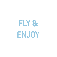 Piloto Aire Sticker by VirtualFly