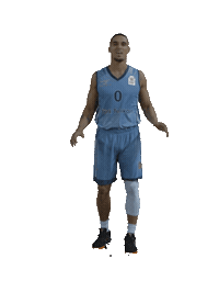 Nick Johnson Sticker by Türkiye Basketbol Federasyonu