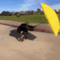 Wind Umbrella GIF by RollerPump