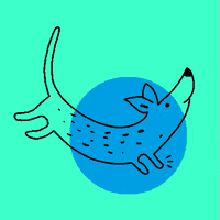 dog sticker GIF by Kochstrasse™