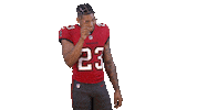 Sean Murphy-Bunting Bucs Sticker by Tampa Bay Buccaneers