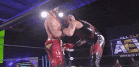 Dustin Rhodes Aew On Tnt GIF by All Elite Wrestling on TNT