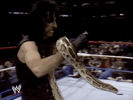alice cooper wrestling GIF by WWE