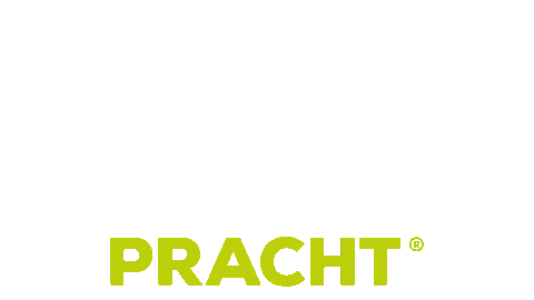 pracht giphyupload light hell licht Sticker