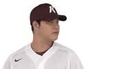 키움히어로즈 Sticker by Kiwoom Heroes Baseball Club