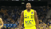 bundesliga basketball gameday GIF by easyCredit Basketball Bundesliga