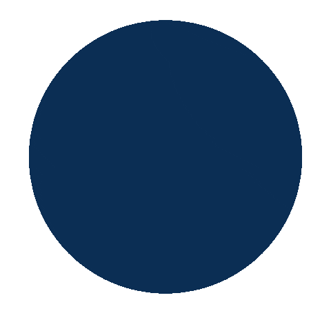 Aolp Sticker by Academy of Our Lady of Peace