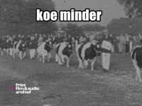 Ko GIF by Fries Film & Audio Archief