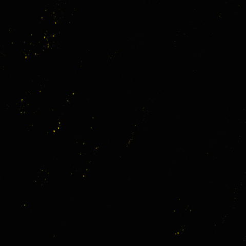 Black Lives Matter Police GIF by INTO ACTION